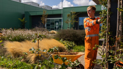 Worker tending plants beside a wheelbarrow in a landscaped courtyard. 