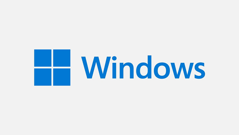 Windows 11 Pro Logo.