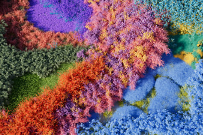 A colorful custom nature background for Global Accessibility Awareness Day