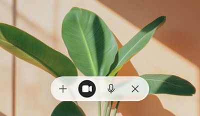 Video call controls displayed over a plant background.