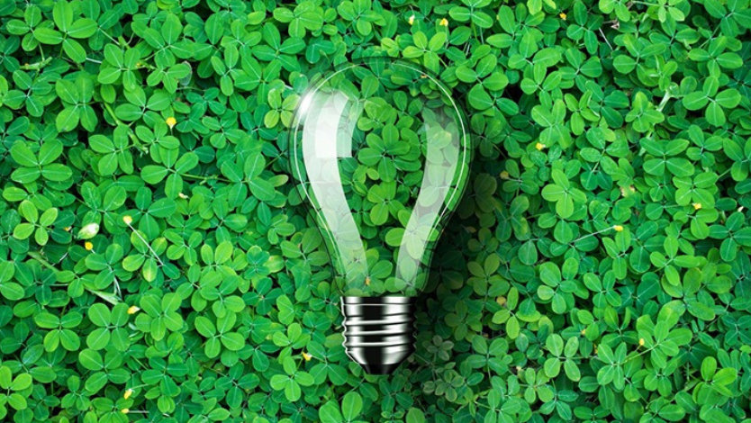 A clear lightbulb on green grass.